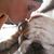 Sarah Kiss's profile image