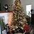 Dorothy Beth Jim Bradshaw's profile image