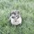 Roger Beko's profile image