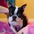 Karen Whited's profile image