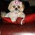 Theresa Cooper's profile image