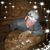 Stephen Young's profile image