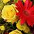 Melissa Huffman-Blankenship's profile image