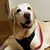 Christine LaCavalla Norris's profile image