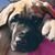 Jon Overacre's profile image