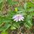 Melinda Roberts's profile image