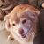 Maria Madalena Gouveia's profile image