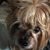 Rhonda Westerfield-Mather's profile image