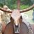 Darrell Lanchester's profile image