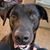 Erin Irwin's profile image