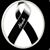 Blanca Torres's profile image
