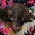 Deb Leider Burkett's profile image