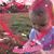 Jessica M Windbigler's profile image