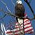 Kevin Redden's profile image