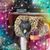 Donna Williams's profile image