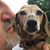 Lorri Weiskopf Redmon's profile image