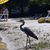 Cathleen Mauser's profile image