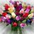 Sandra Garcia's profile image