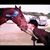 Sara Melvin Knight's profile image