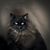 Renee Bertucci Herskovitz's profile image
