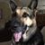 Karen Lowder's profile image