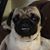 Lynn Marie's profile image