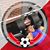 Nelson Patino's profile image