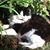 Laurel Pinney Brown's profile image