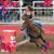Holly Riley Hicks's profile image