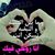 Doly Mohamed's profile image