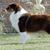 Pamela Bryant-Meeks's profile image