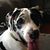 Judy Tunall's profile image