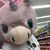 Melissa Dillon's profile image