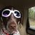Carla Jeanne's profile image