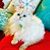 Crista Hopp's profile image