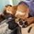 Malcolm Bradley Smith's profile image