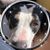 Mary Diercks Menzel's profile image