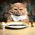 Daniel Tessier's profile image