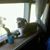 Anthony Digiacomo's profile image
