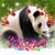 Lynda Schlitz's profile image