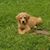 MichaelandLisa McCurdy's profile image