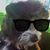 Michael Grant's profile image
