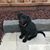 Julie Ann Pennington's profile image