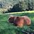 Joyce Spaulding's profile image