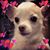 Joanne Gerosa's profile image