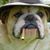 Toby Cameron's profile image