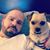 Sean Fillingham's profile image