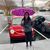 Sandy Stewart Gogulski's profile image