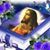 Linda Victory's profile image