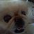 Steve Zanders's profile image